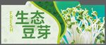 豆芽