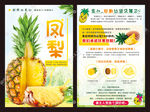凤梨宣传单
