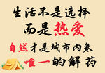 网红挂布