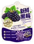 新鲜黑莓包装设计