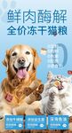 鲜肉冻干猫粮宣传海报