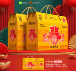 年货包装 新年礼盒