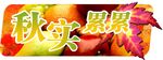 秋实累累