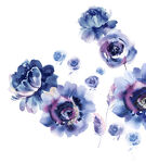 写意花卉