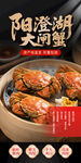 阳澄湖大闸蟹美食海报