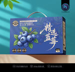蓝莓包装