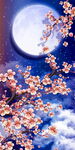 月夜梅花美景玄关装饰画