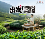 巴马蚕丝超大背景kt户外广告