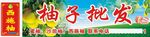 蜜柚 沙田柚 西施柚