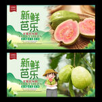 芭乐