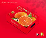 红美人包装 橙子礼盒