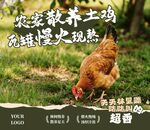 散养鸡海报