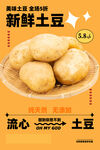 土豆