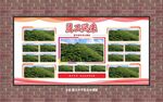 员工风采展示板报