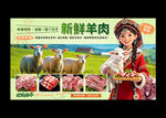 新鲜羊肉