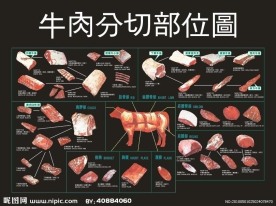 牛肉分解图