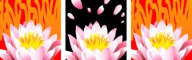 系列装饰画