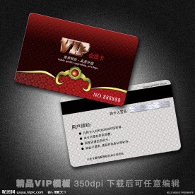 精品VIP模板 VIP模板