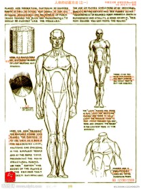 人体切面方法(之一)中英文对照 (全镂空psd分层)