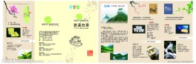 白茶