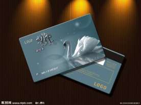 白天鹅vip卡模板