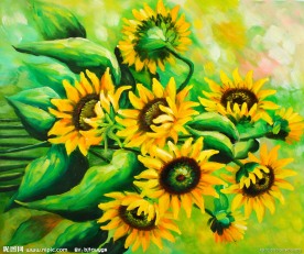 手绘油画向日葵
