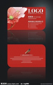 红色矢量花名片设计