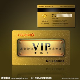 高档VIP卡