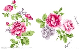 玟瑰花（通道分层）