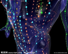 腰部经络循环动画