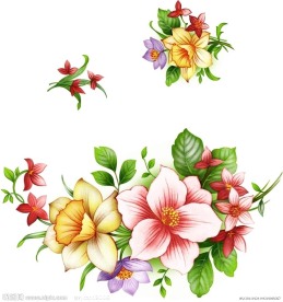 月份花(通道分层)