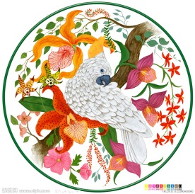 鹦鹉 ( 通道分层)