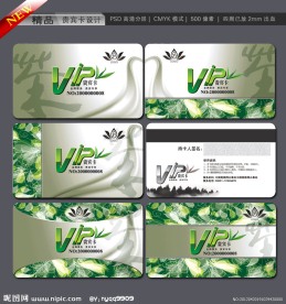 茶 VIP卡 会员卡 贵宾卡 名片