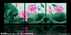 装饰画荷花