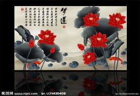 无框画荷花