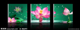 无框画 荷花