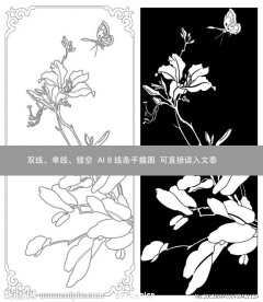 白菊花线条图
