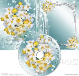 婚庆婚礼DVD光盘和光盘盒设计