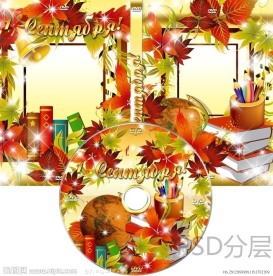 婚庆婚礼DVD光盘和光盘盒设计