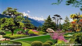 道路绿化效果图