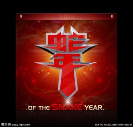 2013 蛇年 立体字