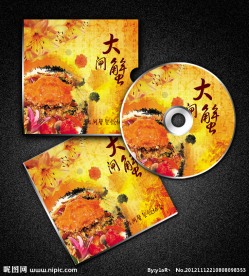光盘 封面