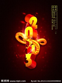 2013蛇年