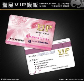 美容VIP