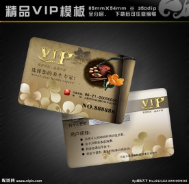 养生VIP