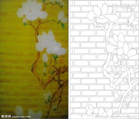 金砖玉兰 玉兰花