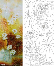 梦荷 荷花 金荷花