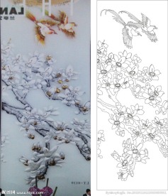 玉兰花 小鸟 树