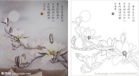 玉兰花 玉兰 兰