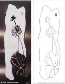 荷花 荷叶 莲花